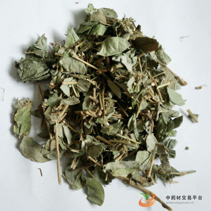 金钱草产品展示