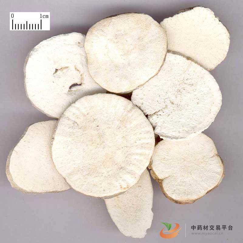 天花粉